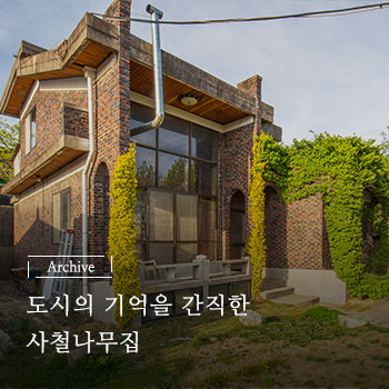 도시의 기억을 간직한 사철나무집